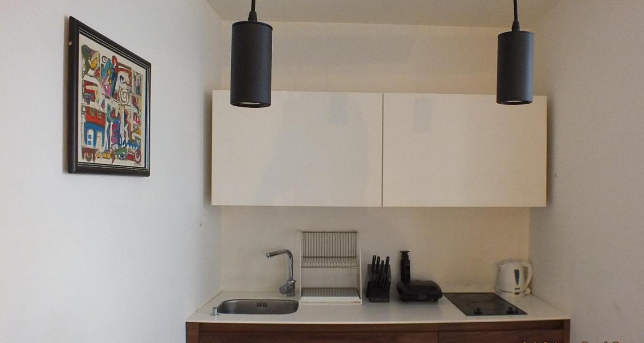 Little L Apartments Dorcol Beograd Bagian luar foto